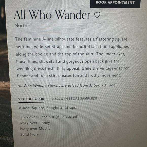 All Who Wander bohemian style wedding dress - Picture 15 of 16